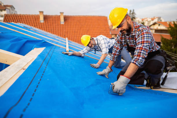 Best Roof Gutter Cleaning  in Berwick, LA