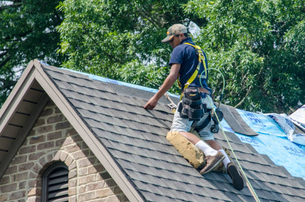 Roof Waterproofing Services in Berwick, LA